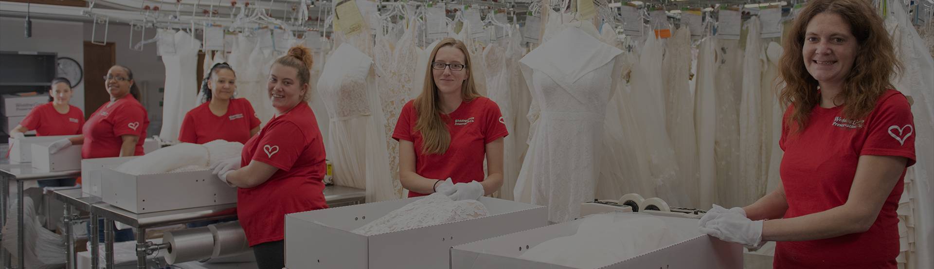 The Complete Guide to Preserving Your Wedding Dress for Future Generat -  Wedding Dress Preservation